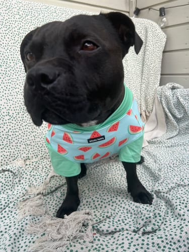 Customer photo review of Sunblock Shirt - Watermelon