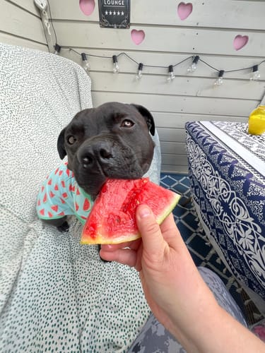 Customer photo review of Sunblock Shirt - Watermelon