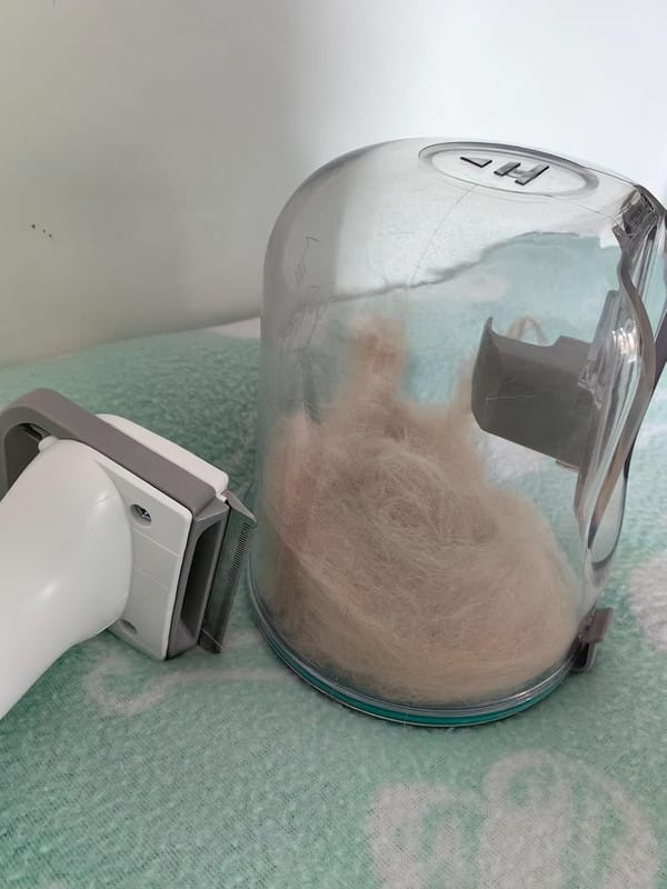 Customer photo review of Neakasa P1 Pro 5-in-1 Haustierpflege Staubsauger Set für Hunde & Katzen