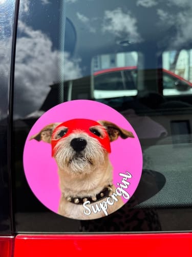 Customer photo review of Your photo -  Personalized Car Sticker