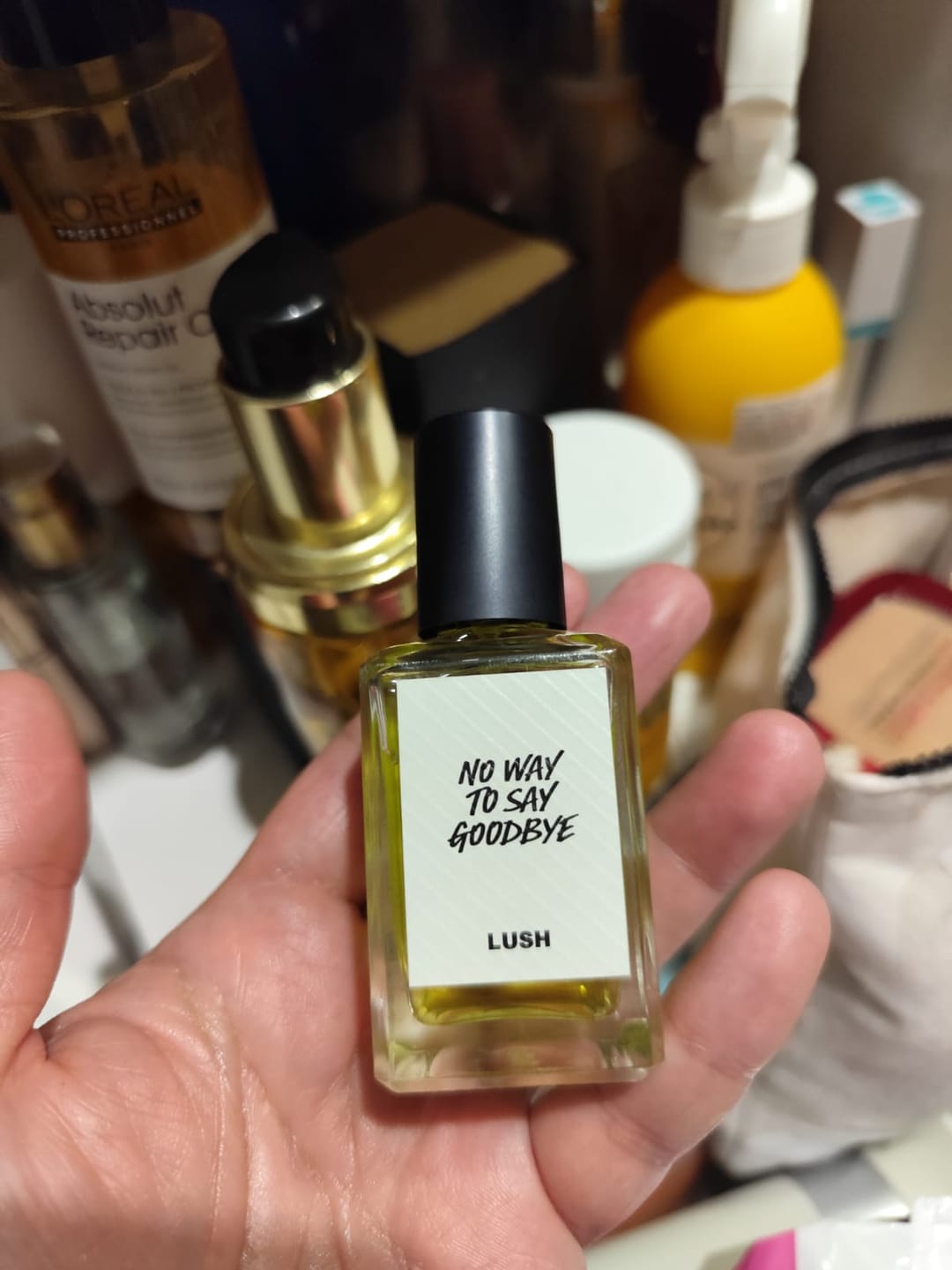 Customer photo review of No Way To Say Goodbye