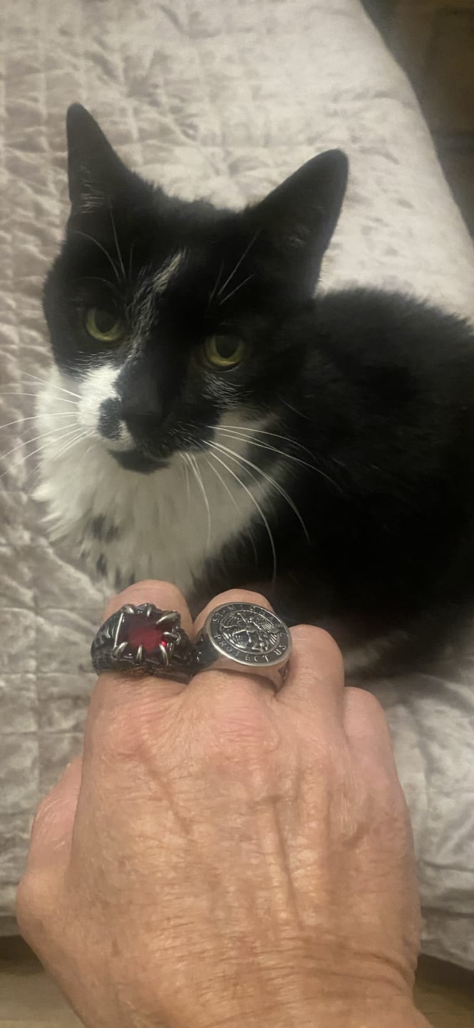 Customer photo review of CLAW OF DRAGO.