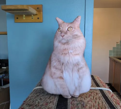 Customer photo review of Custom Pet Pillow