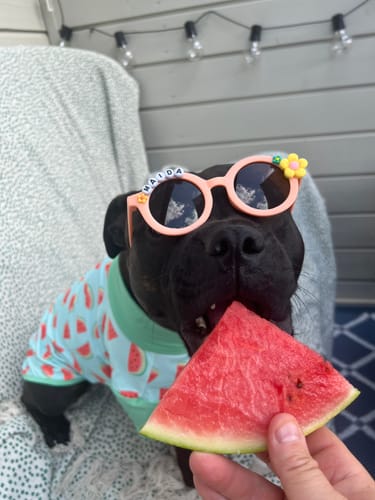 Customer photo review of Sunblock Shirt - Watermelon