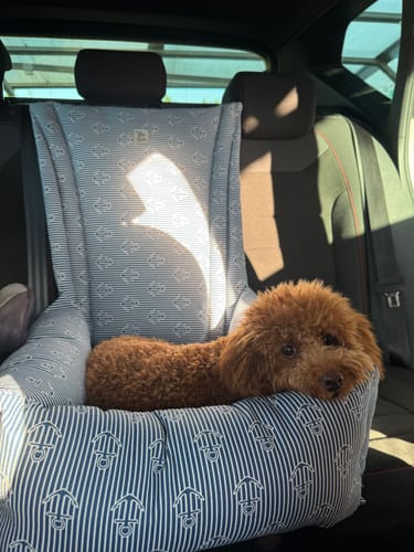 Customer photo review of Seggiolino Auto Cotone Premium Iconic Anchor Stripe