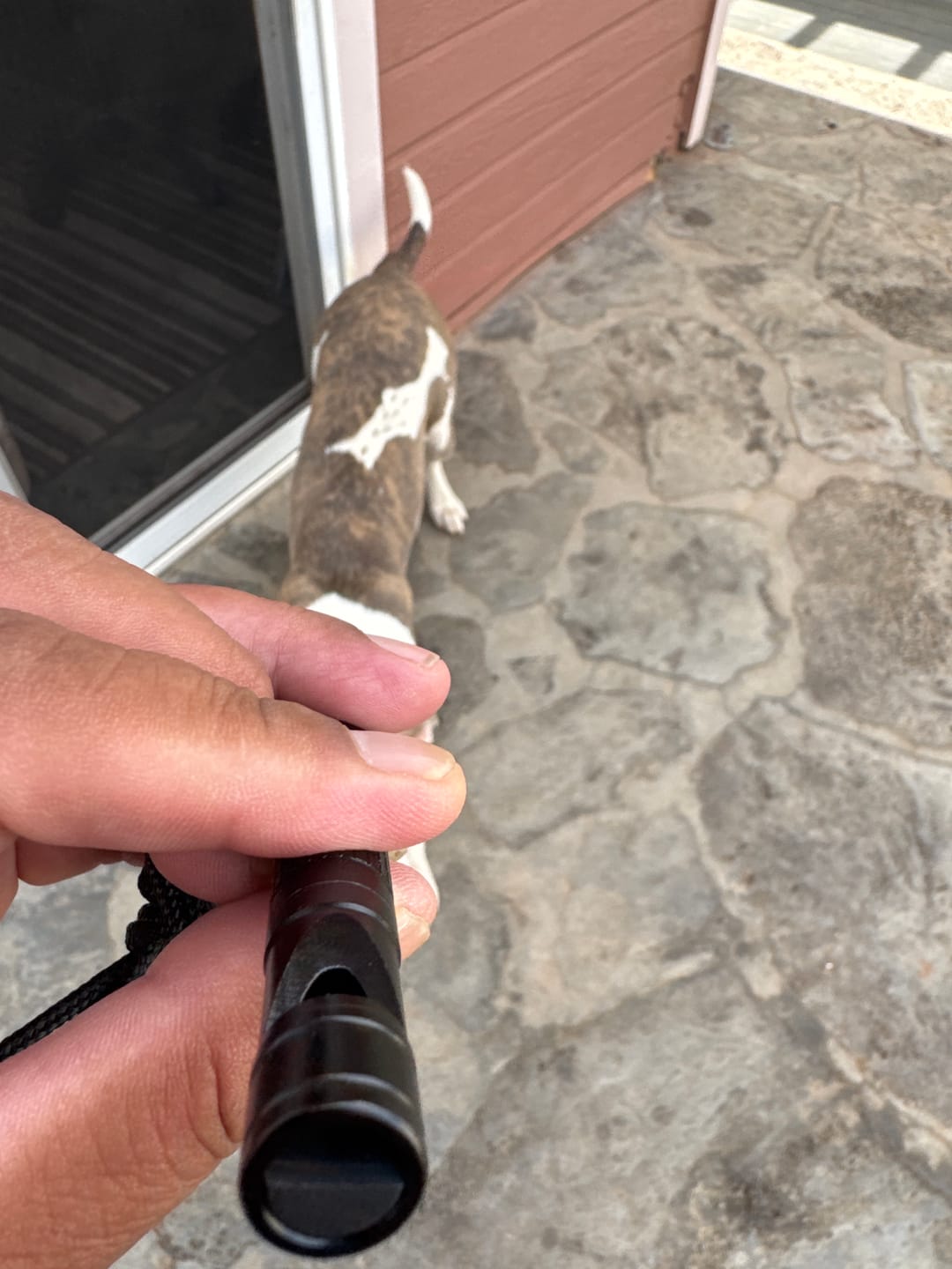 Customer photo review of 80Eighty® MultiTool Whistle