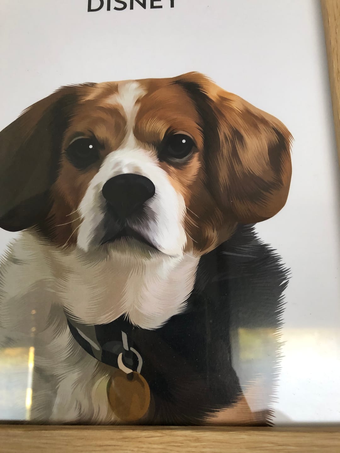 Customer photo review of 1 Pet