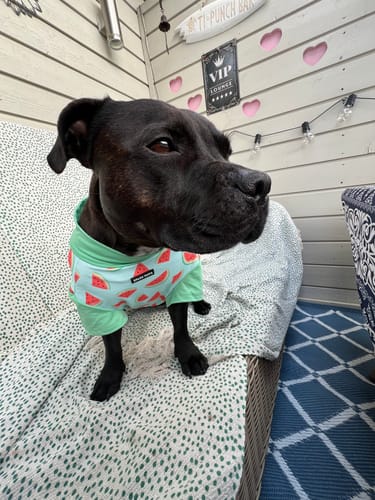 Customer photo review of Sunblock Shirt - Watermelon