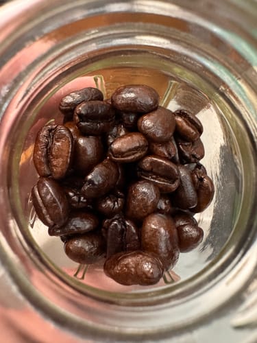 Customer photo review of Drink From the Skull of Your Enemy™ - Dark Roast