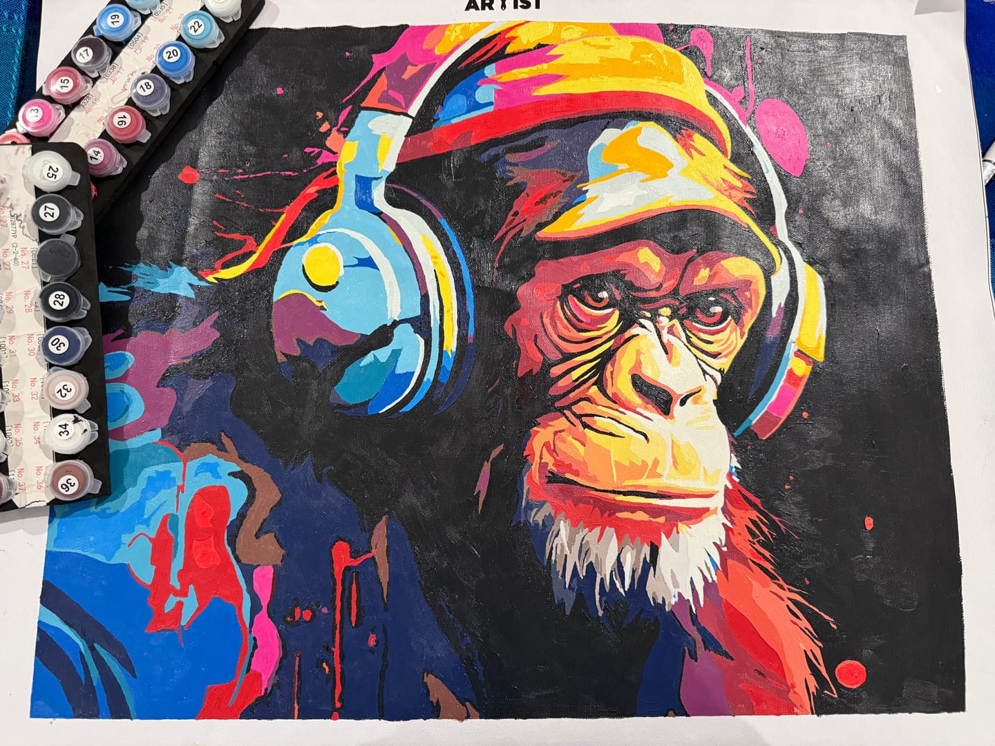 Customer photo review of Hip Hop Chimp