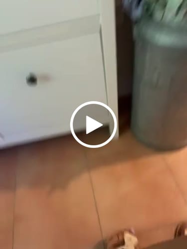 Customer video review of Roots Kalena Duna