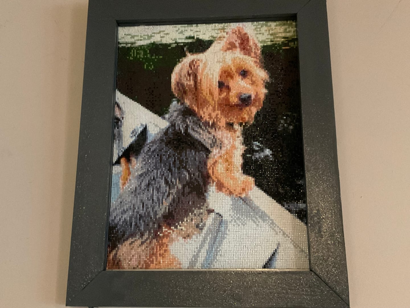Customer photo review of Custom Diamond Painting Kits - Upload Any Image - Create Your Own