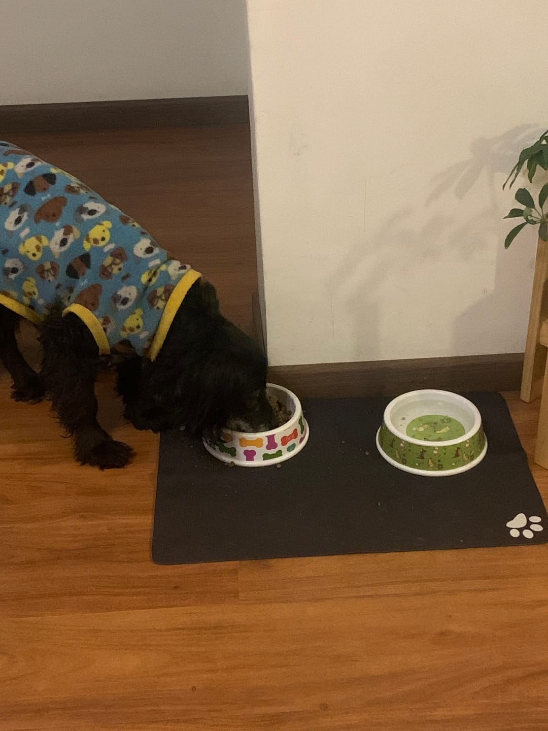 Customer photo review of Mat Absorbente para alimentación