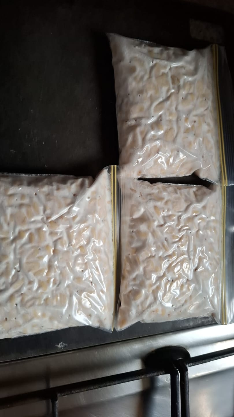 Customer photo review of BIO Tempeh-Revolution: Starter-Kultur für Heimfermentation