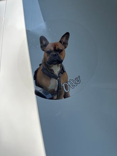 Customer photo review of Your photo -  Personalized Car Sticker