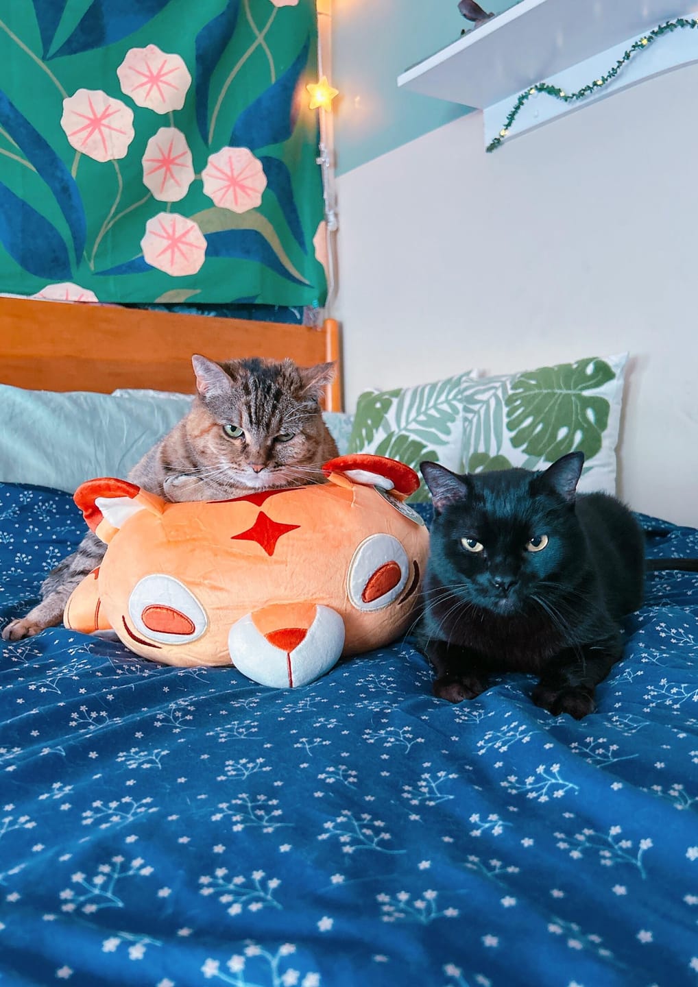 Customer photo review of GIANT Weighted Multi-Tiger Plush