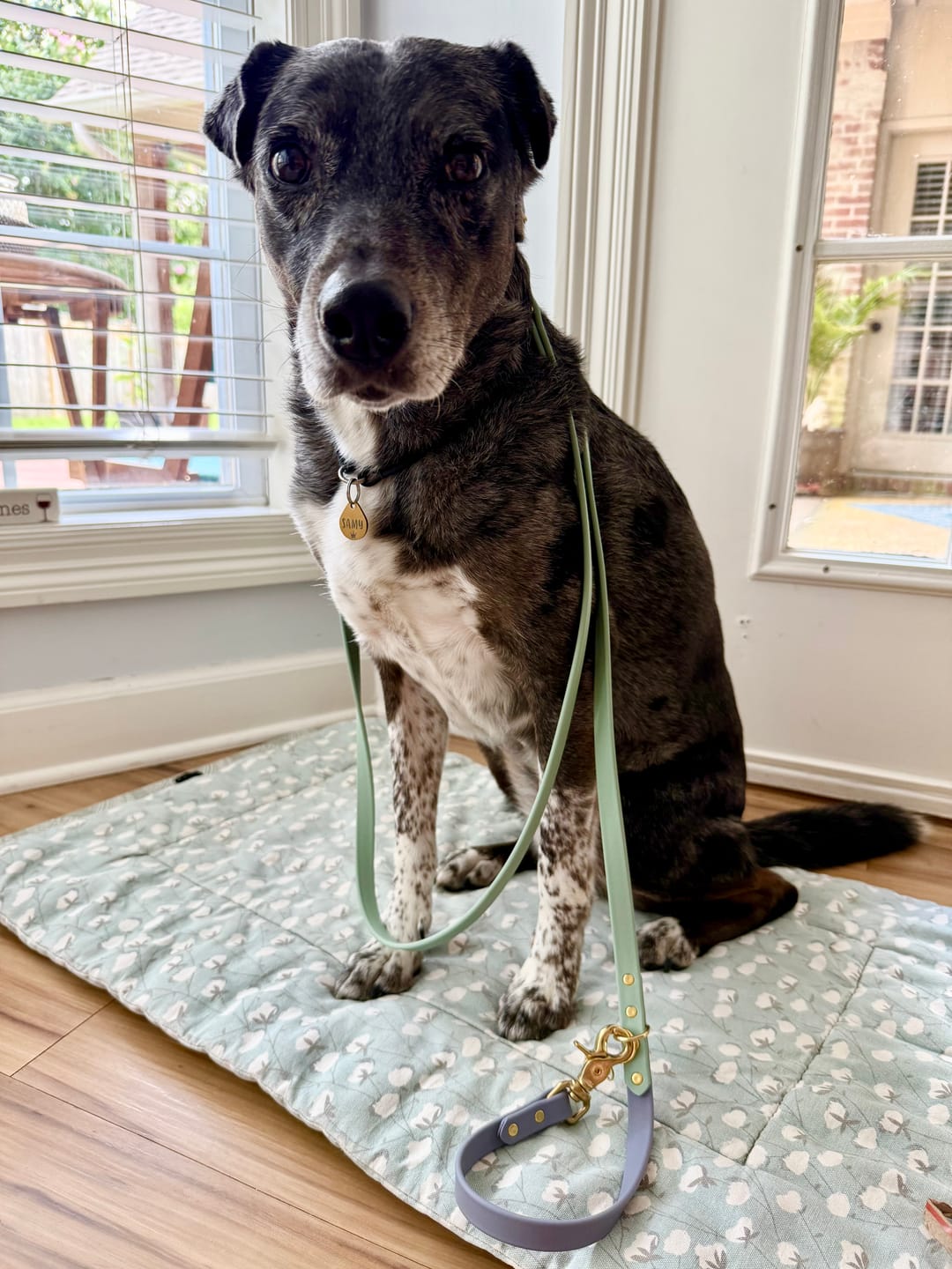 Customer photo review of Sage - Classic Biothane Dog Leash