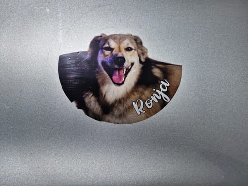 Customer photo review of Your photo -  Personalized Car Sticker