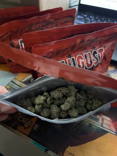 Customer photo review of Value Indoor Smalls