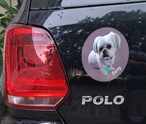 Customer photo review of Your photo -  Personalized Car Sticker