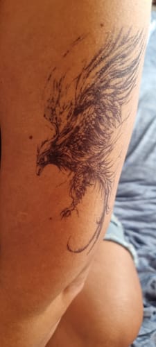 Customer photo review of Risen