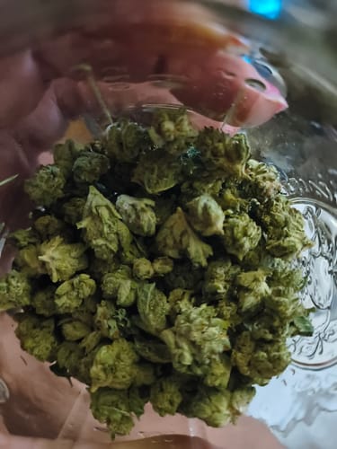 Customer photo review of Shipping Protection by Route