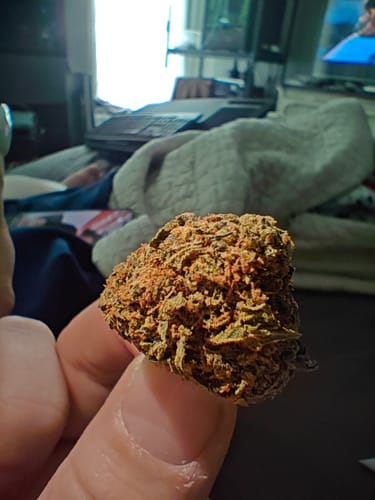 Customer photo review of Grand Daddy Purple THCA Smalls