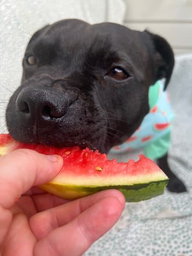 Customer photo review of Sunblock Shirt - Watermelon