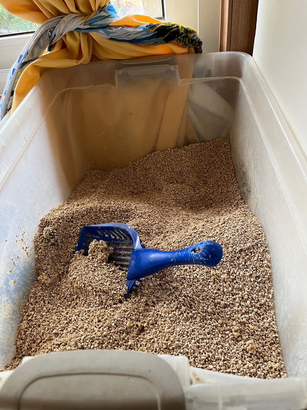 Customer photo review of Arena Biodegradable Cosycat 8,6 kg