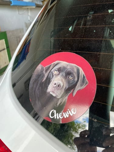 Customer photo review of Your photo -  Personalized Car Sticker