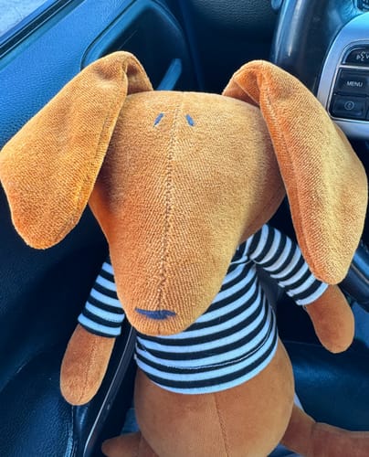 Customer photo review of SCOTT, LE TECKEL - GRAND