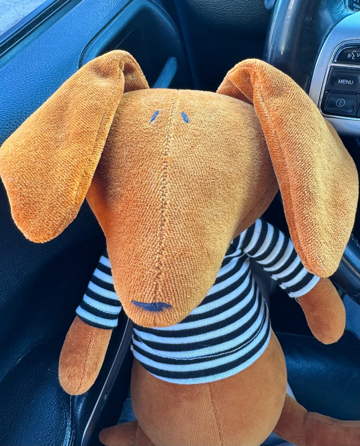 Customer photo review of SCOTT LE TECKEL - L