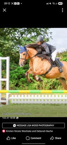 Customer photo review of Rhinegold Diamante Fly Hood / Noise Muffler