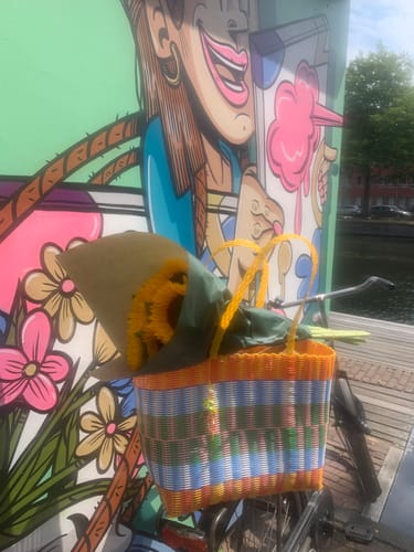 Customer photo review of Large Basket Bag - Loco Citrus