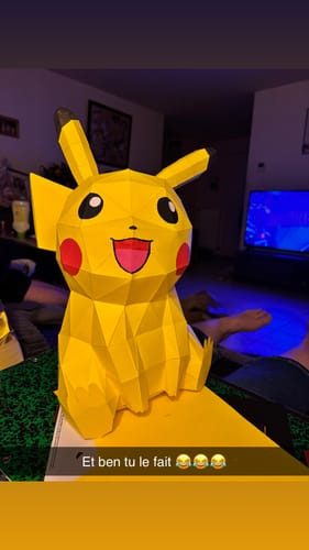 Customer photo review of Patrons Pikachu