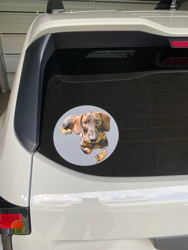 Customer photo review of Your photo -  Personalized Car Sticker