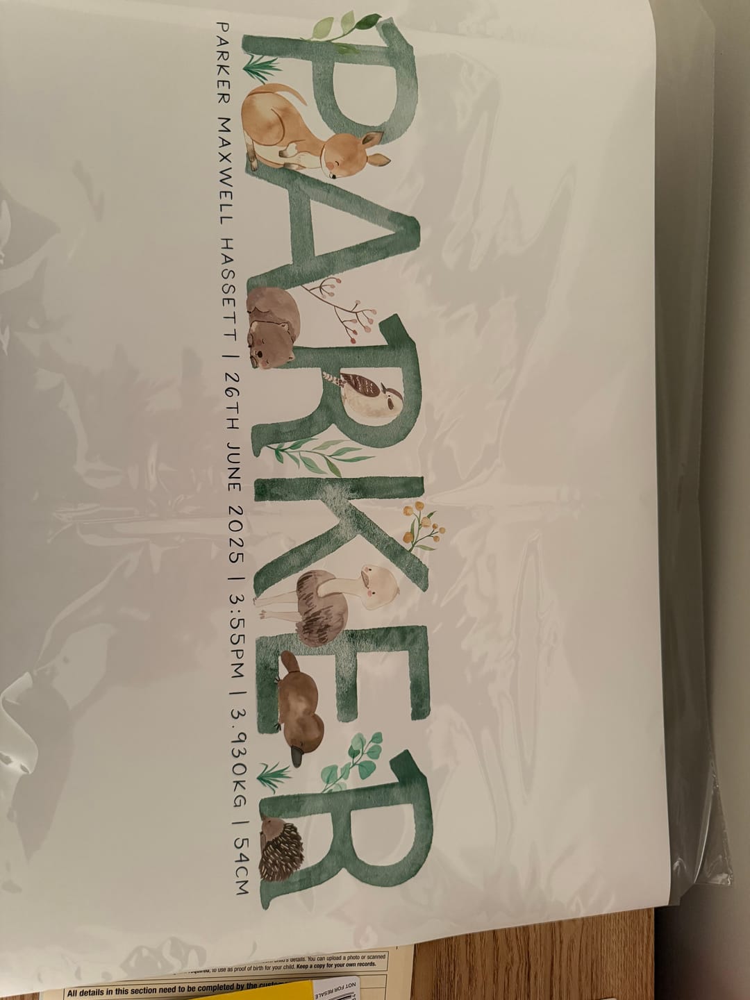 Customer photo review of Australian Animals Name Print