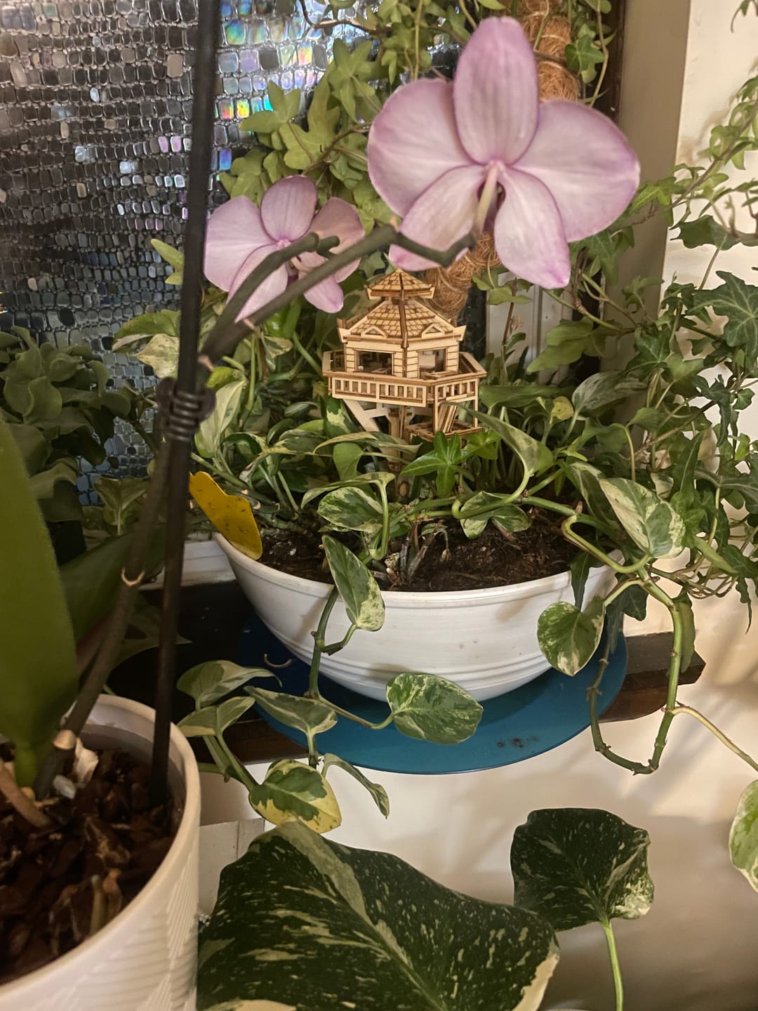 Customer photo review of Woodland Outpost