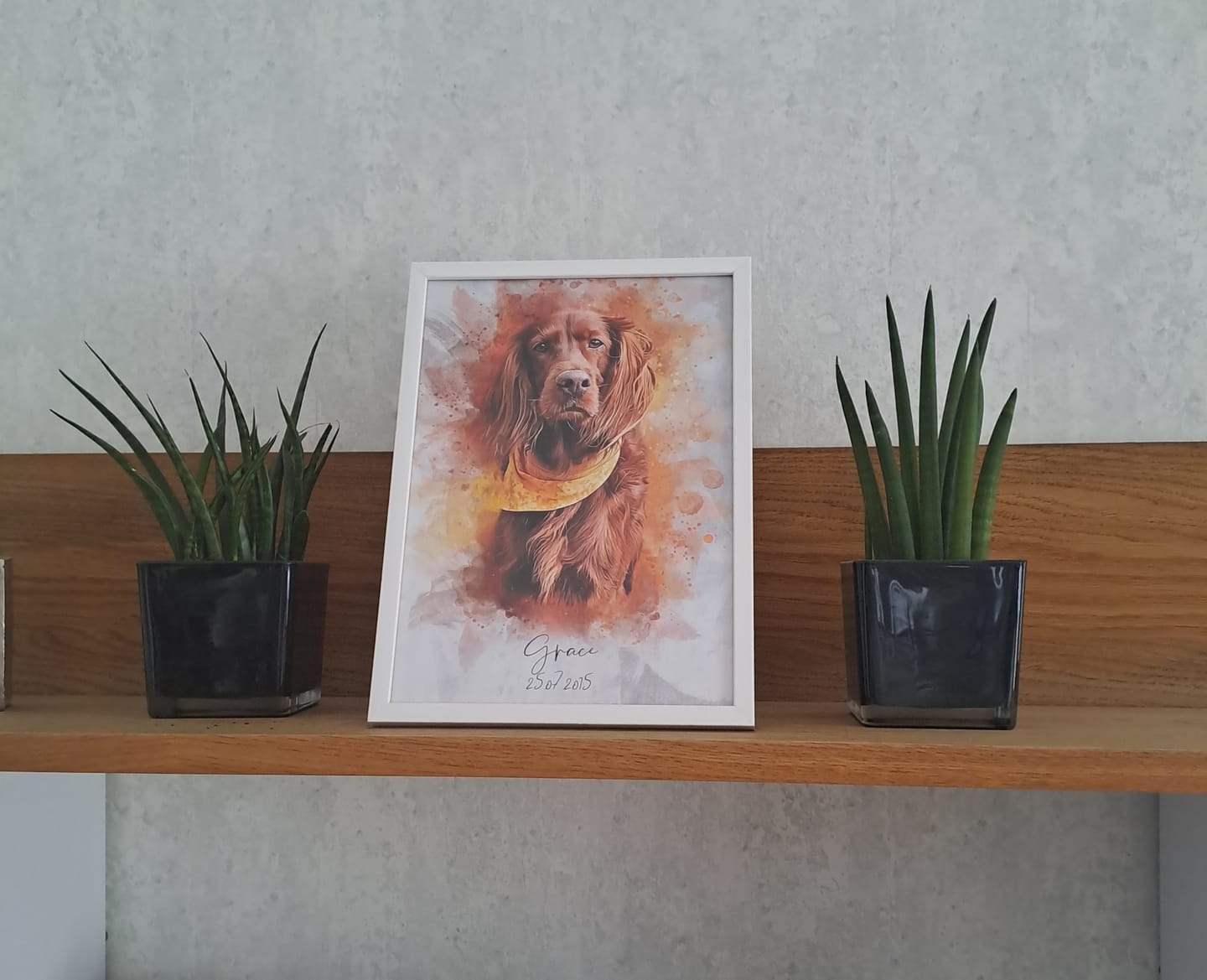 Customer photo review of Dein Hund als Aquarell Tierportrait | Geschenk für Hundebesitzer