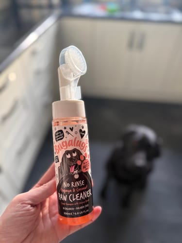 Customer photo review of Papaya & Coconut No Rinse Paw Cleaner for Dogs & Cats