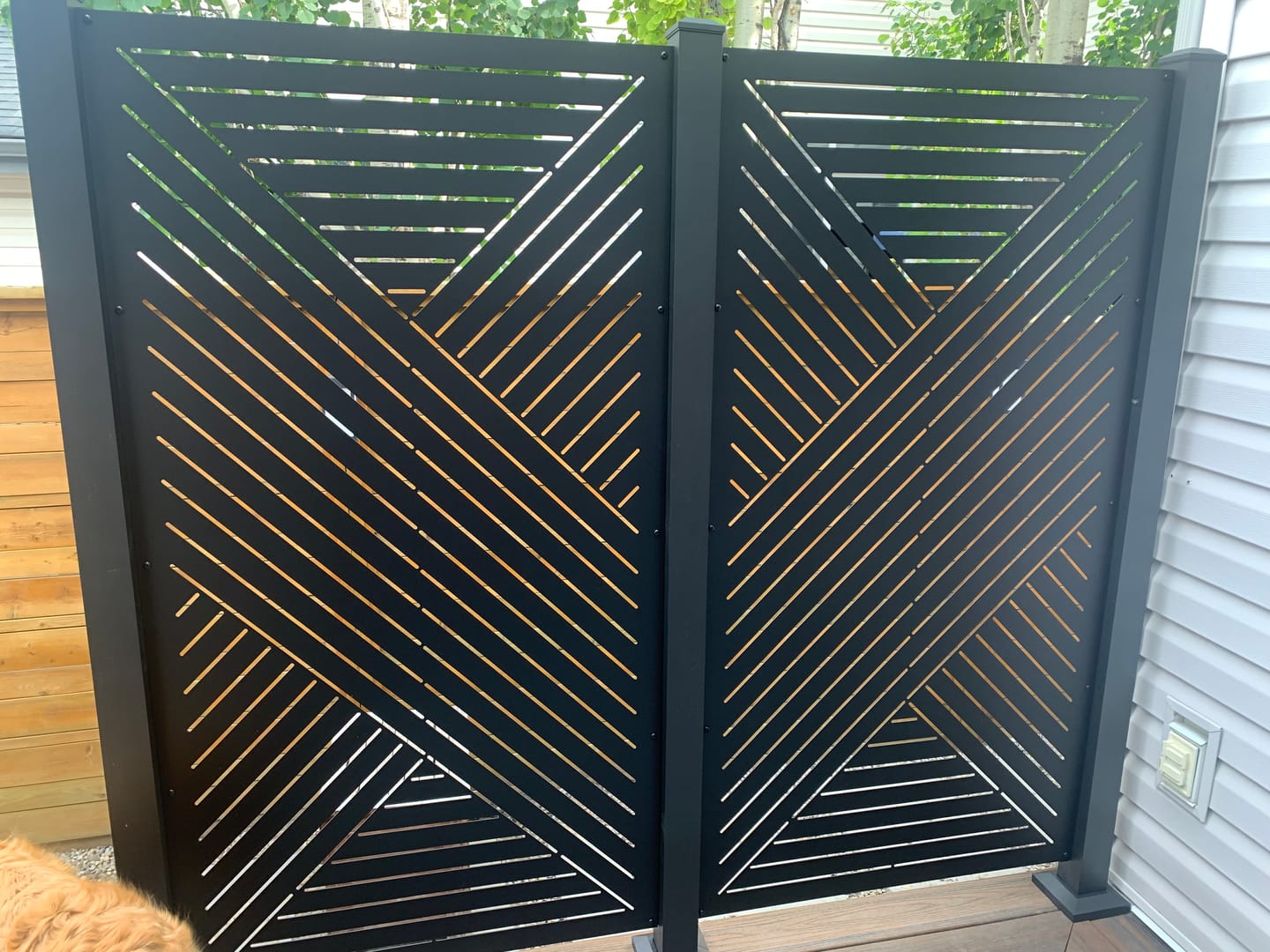 Customer photo review of Privacy Screen (Hexx)