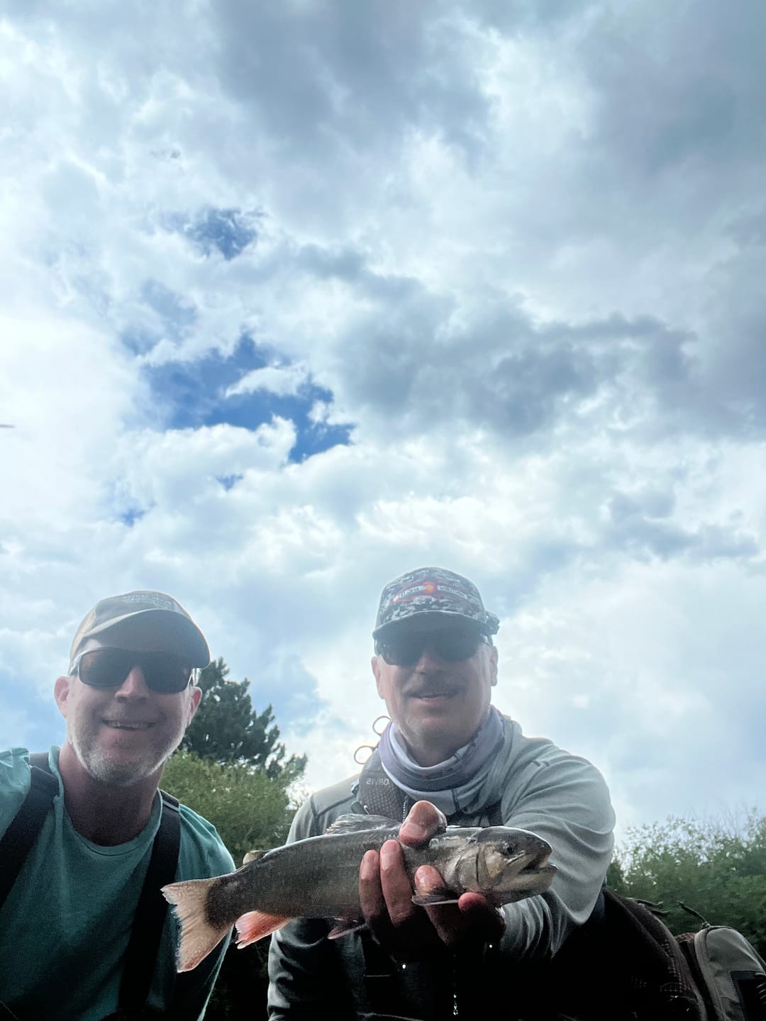 Customer photo review of Lid Rig 3.0