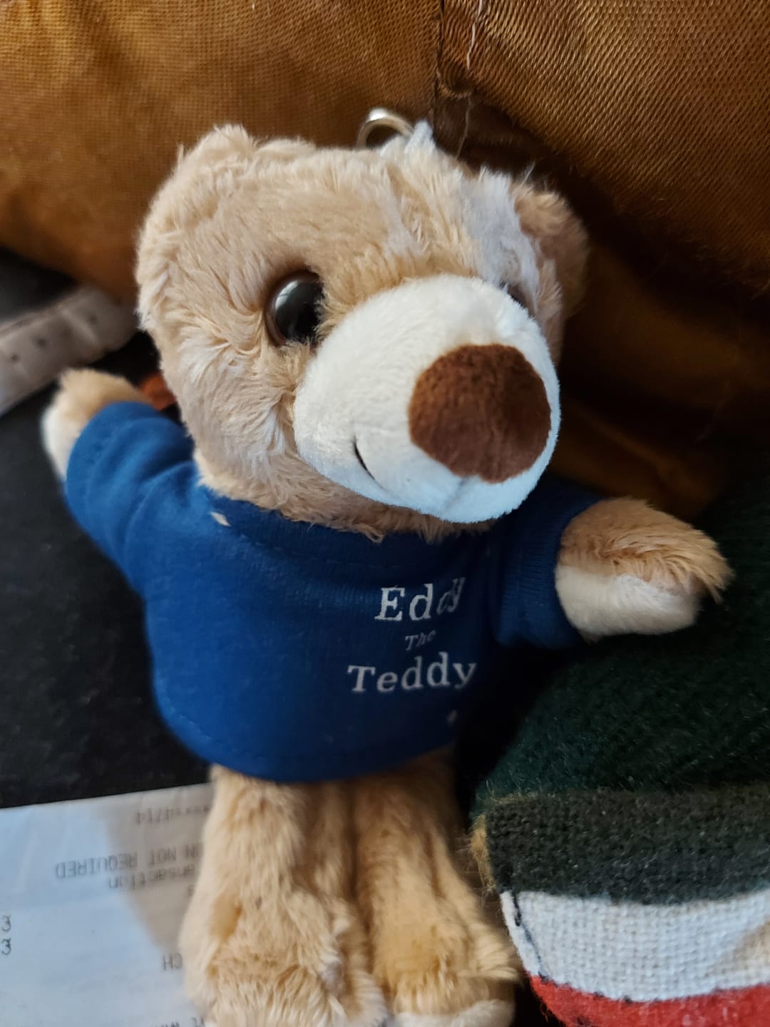 Customer photo review of Donate to Eddy the Teddy