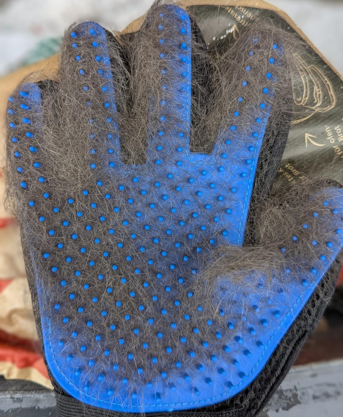 Customer photo review of StimuliCat Grooming Glove | The Only Glove With  Mother-Tongue Technology for Stress-Free Grooming (Includes Both Hands)