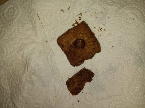 Customer photo review of 🔮 Magic Hasch Brownies - POWER LVL: 5/5
