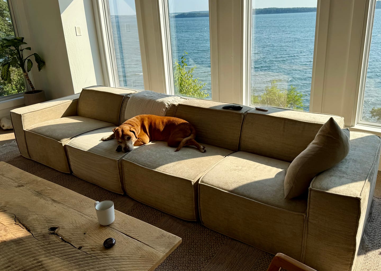 Customer photo review of M1 Sofa Three Seater