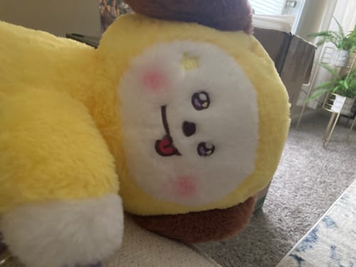 Customer photo review of BT21 Official The Journey Hug Me Plush Crossbody Bag