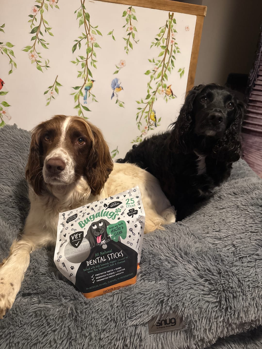 Customer photo review of All Natural Chicken Flavour Seaweed Dental Sticks