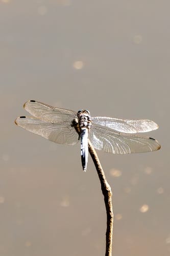 Customer photo review of GEEKOM AI PC A8 MAX ミニPC AMD Ryzen R7-8845HS/R9-8945HS