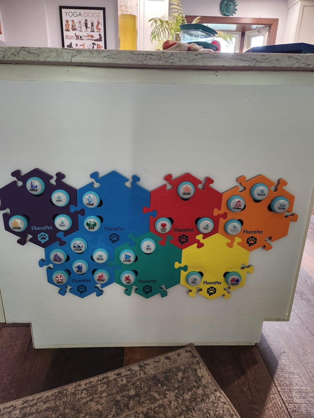 Customer photo review of Connect Button Multipacks